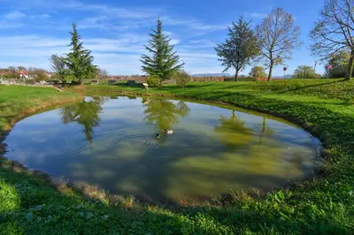 a pond in a grassy field with two ducks in it at Piramida Kras in Komen