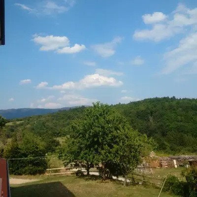 a tree in a field with mountains in the background at Osterija Na Planinci in Divača