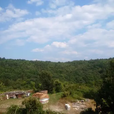 a view of a hill with trees and houses at Osterija Na Planinci in Divača
