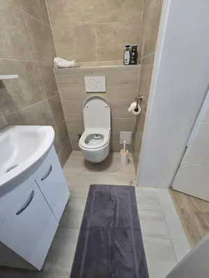 a bathroom with a white toilet and a sink at Halalko Konak in Šmarje-Sap