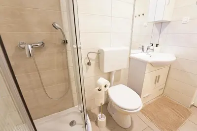 a bathroom with a shower and a toilet and a sink at Rezidenca Erjavec in Notranje Gorice