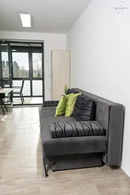 a black leather couch with two yellow pillows in a living room at Meloria Apartments in Veržej