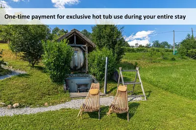two chairs sitting in the grass in front of a house at Vineyard Cottage Skatlar 2 in Srednje Grčevje