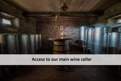 a room with a table and a bunch of wine barrels at Vineyard Cottage Skatlar 2 in Srednje Grčevje