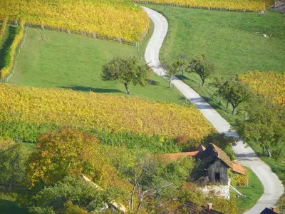a winding road in a field next to a house at HERBALIJA Apartment Herbalija - sorrounded by Nature in Podčetrtek