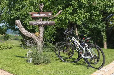 a bike is parked next to a street sign at HERBALIJA Apartment Herbalija - sorrounded by Nature in Podčetrtek