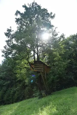 a tree on a hill with a tree house at Log cabin Silec in Šmarje pri Jelšah