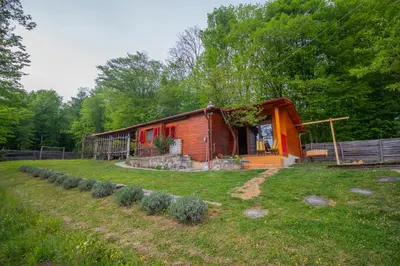 a cabin in the middle of a field with trees at Log cabin Silec in Šmarje pri Jelšah