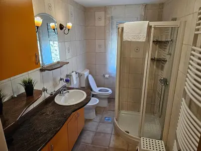 a bathroom with a toilet and a sink and a shower at Apartment Josipina in Preddvor