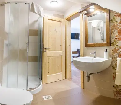 a bathroom with a sink and a shower at Kmetija Na Čendavš in Cerkno