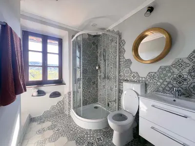 a bathroom with a shower and a toilet and a sink at Rural Family Escape in Vipava