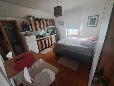 a small bedroom with a bed and a kitchen at Hiška Janko in Metka in Ptuj