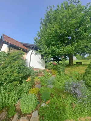 a garden with plants and a tree and a building at Hiška Janko in Metka in Ptuj