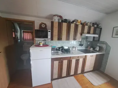 a kitchen with a white refrigerator and a sink at Hiška Janko in Metka in Ptuj