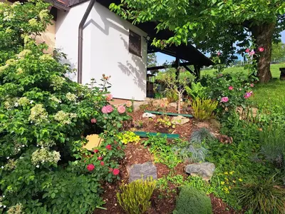 a garden in front of a house with flowers at Hiška Janko in Metka in Ptuj
