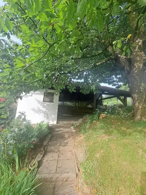 a stone path leading to a building under a tree at Hiška Janko in Metka in Ptuj