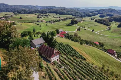 an aerial view of a farm with a house on a hill at Holiday Home Sunny at vineyard in Veliki Kamen