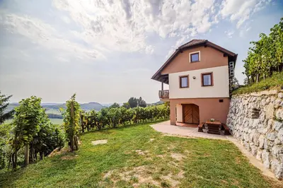 a house on a hill with a stone wall at Holiday Home Sunny at vineyard in Veliki Kamen
