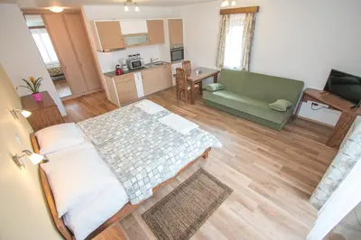 a living room with a bed and a kitchen at Tourist farm Megušar in Škofja Loka