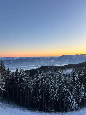 a group of trees in the snow with the sunset in the background at Mozirska koča in Mozirje