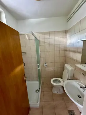 a bathroom with a toilet and a shower and a sink at Apartments and Rooms Tajcr in Bovec