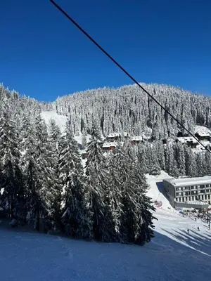 a ski resort with snow covered trees and a ski lift at Alpine Escape Golte Apartment in Mozirje
