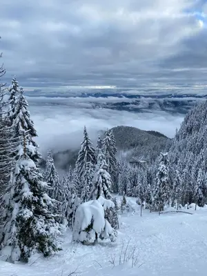 a group of trees covered in snow on a mountain at Alpine Escape Golte Apartment in Mozirje