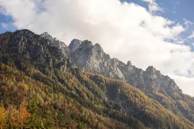 a mountain with trees on it with mountains in the background at Chalet Jasna in Kranjska Gora