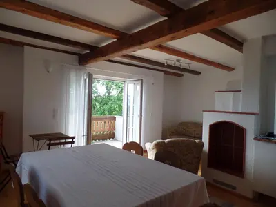 a living room with a table and a fireplace at Holiday Home Sonnenhaus in Svečina