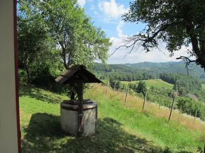 a barrel with a roof on top of a tree at Holiday Home Sonnenhaus in Svečina