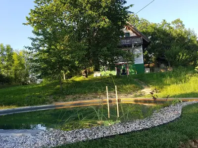 a house on a hill with a pond in front of it at Holiday Home Sonnenhaus in Svečina