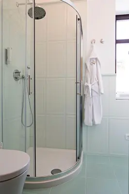 a bathroom with a shower with a toilet and a sink at Vila Mila in Bled