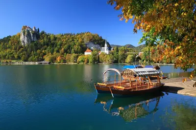a boat sitting in the middle of a lake at Vila Mila in Bled
