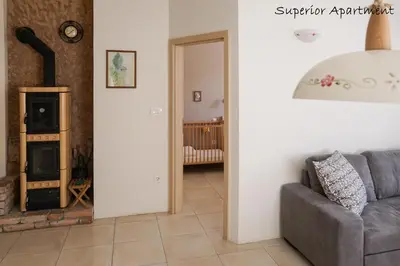 a living room with a couch and a fireplace at Apartment Villa Carolina in Kranjska Gora