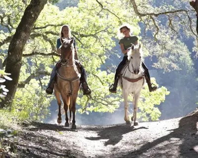 two people riding horses down a dirt road at Ranc Polo Velka sobe in Zgornja Velka