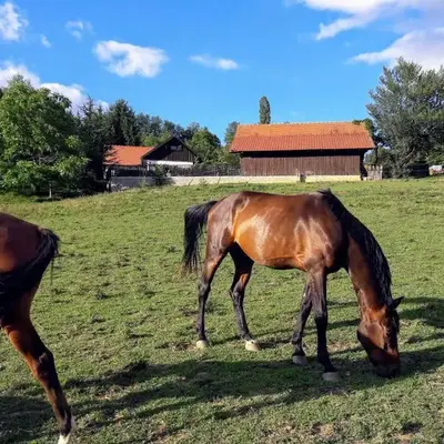 Ranc Polo Velka sobe