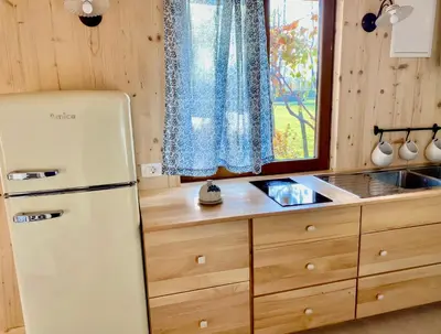 a kitchen with an old refrigerator and a sink at Sweet Bee Cottage in Bovec