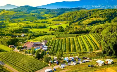 an aerial view of a vineyard in the hills at Saxida Wine & Camping Resort Pitches in Dornberk