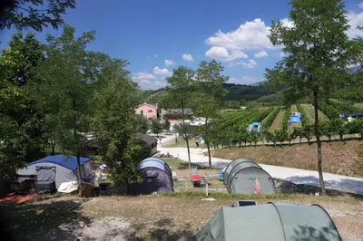 a group of tents on a hill next to a road at Saxida Wine & Camping Resort Pitches in Dornberk
