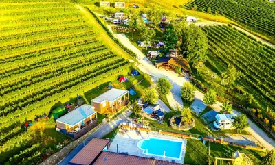 an aerial view of a vineyard and a farm at Saxida Wine & Camping Resort Pitches in Dornberk