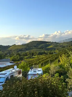 a couple of rvs parked in a vineyard at Saxida Wine & Camping Resort Pitches in Dornberk