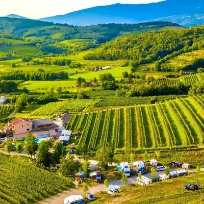 Saxida Wine & Camping Resort Pitches