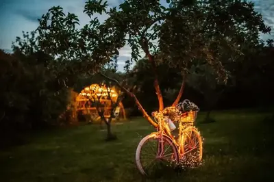 a bike parked in the grass under a tree at Opulent Villa with Sauna in the Heart of Karst in Dutovlje