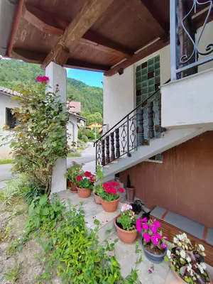a group of potted plants sitting on a balcony at Apartma SOFIA in Tolmin