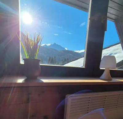a window with a potted plant on a window sill at Suita 305 in Kranjska Gora