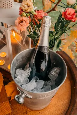 a bottle of champagne in a bucket of ice at Hiška pri Paulu in Dobrovnik