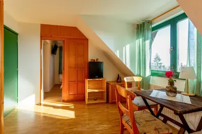 a living room with a table and a television at Pohorski Dom in Pohorje