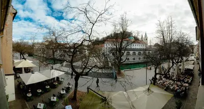 an overhead view of a market in a city with a tree at Bridget's room in Ljubljana