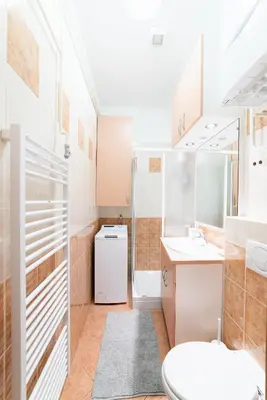 a bathroom with a toilet and a sink at Bridget's room in Ljubljana