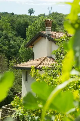 a small white building with a chimney on top of it at Turistična kmetija Štanfel in Podsabotin